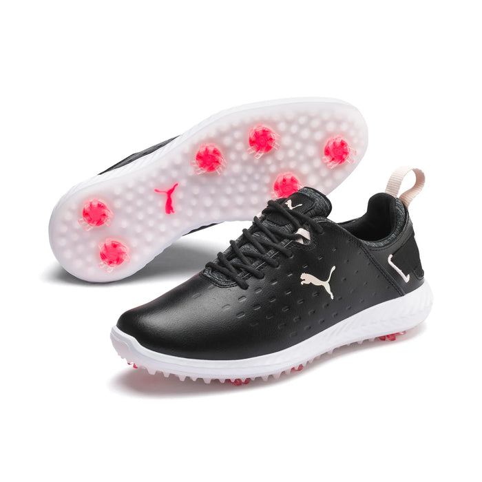 IGNITE Blaze Pro Black-Rosewater