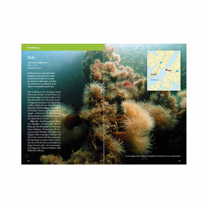 Göteborgs friluftsliv