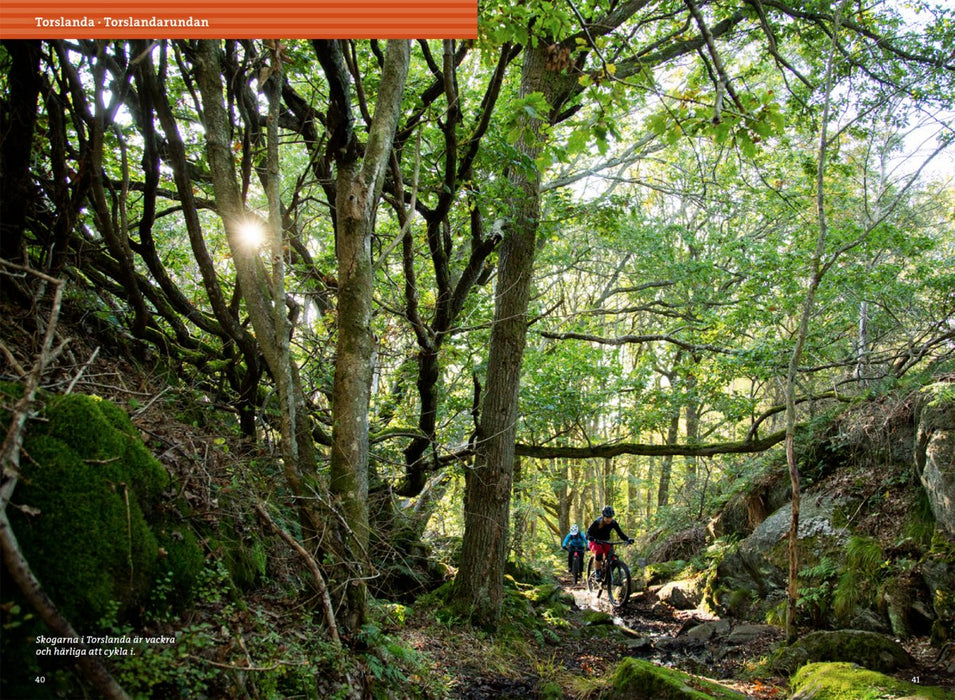 Mountainbike kring Göteborg: upptäck den bästa stigcyklingen, från branta endurospår till äventyrliga långturer