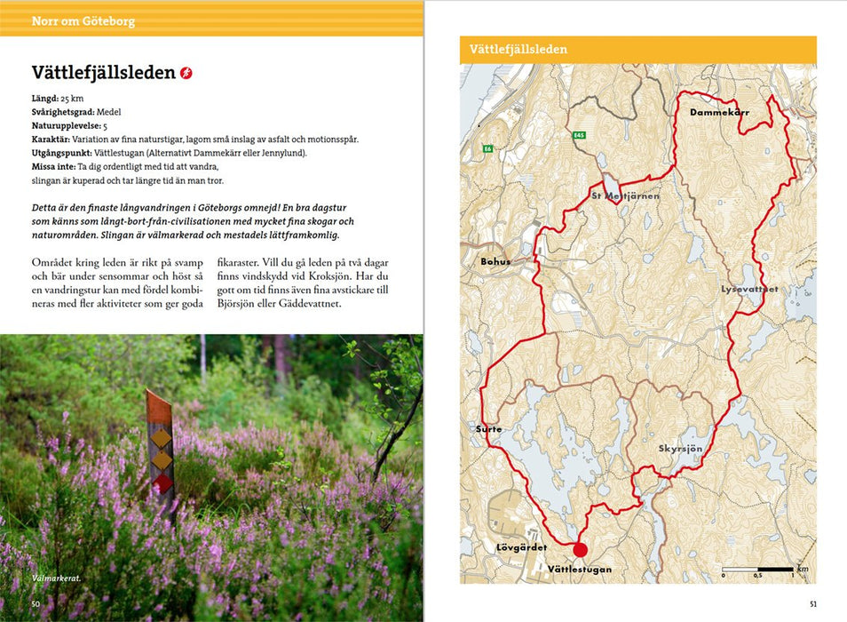 Vandring kring Göteborg: vandringsturer, löprundor och barnvagnspromenader med naturupplevelsen i fokus