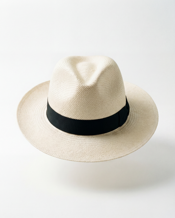 Blocked Fedora Panama